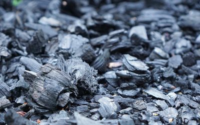What Is Binchotan Charcoal (White Charcoal)?